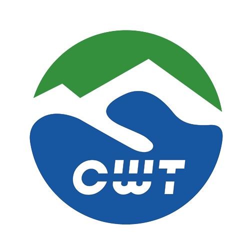 CWT VALVE logo