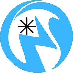 NaijaSpider.com logo
