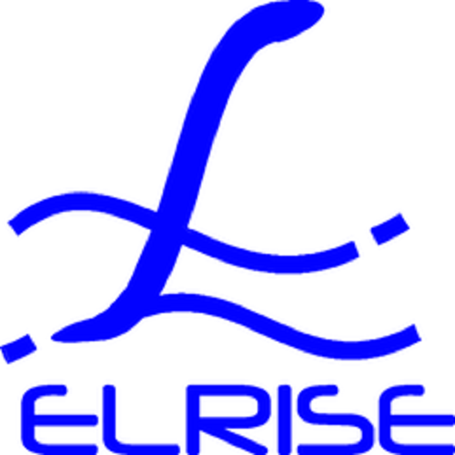 Elrise logo