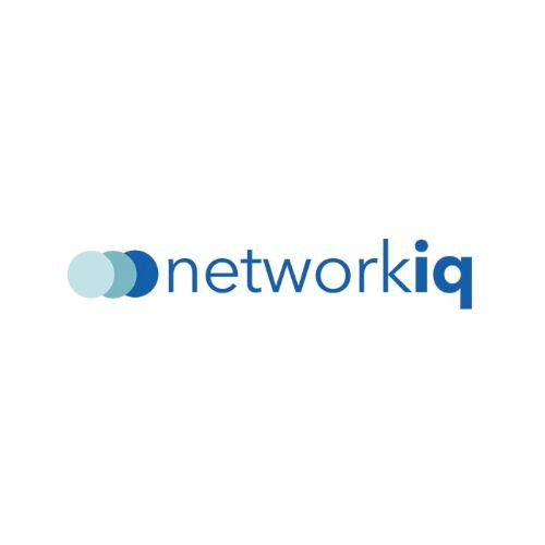 NetworkIQ logo
