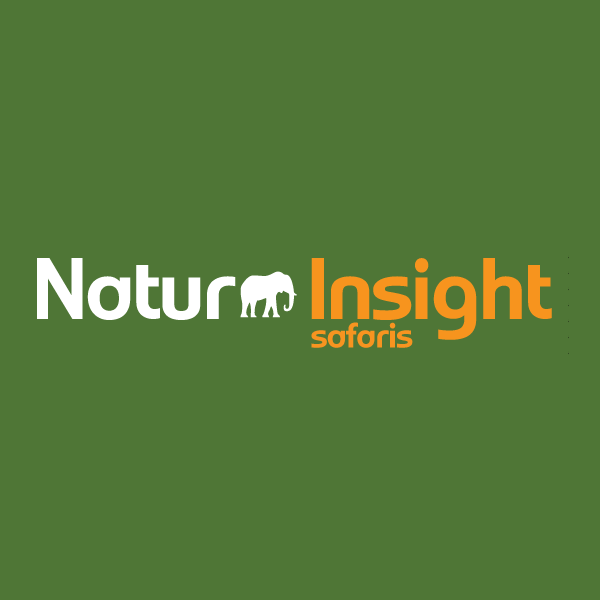 Nature Insight Safaris logo