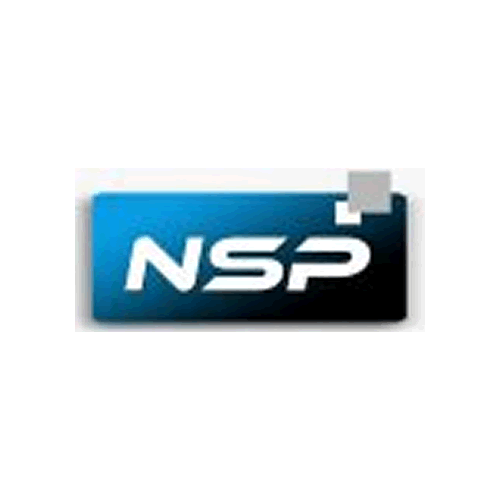 NSP Global Services logo
