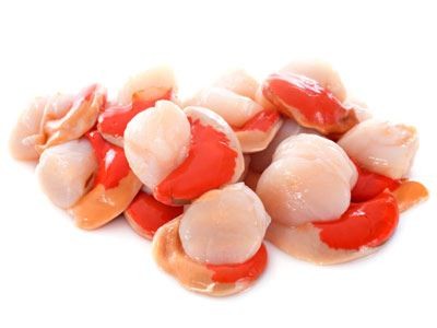 Scallops (Hand Dived) King 1kg