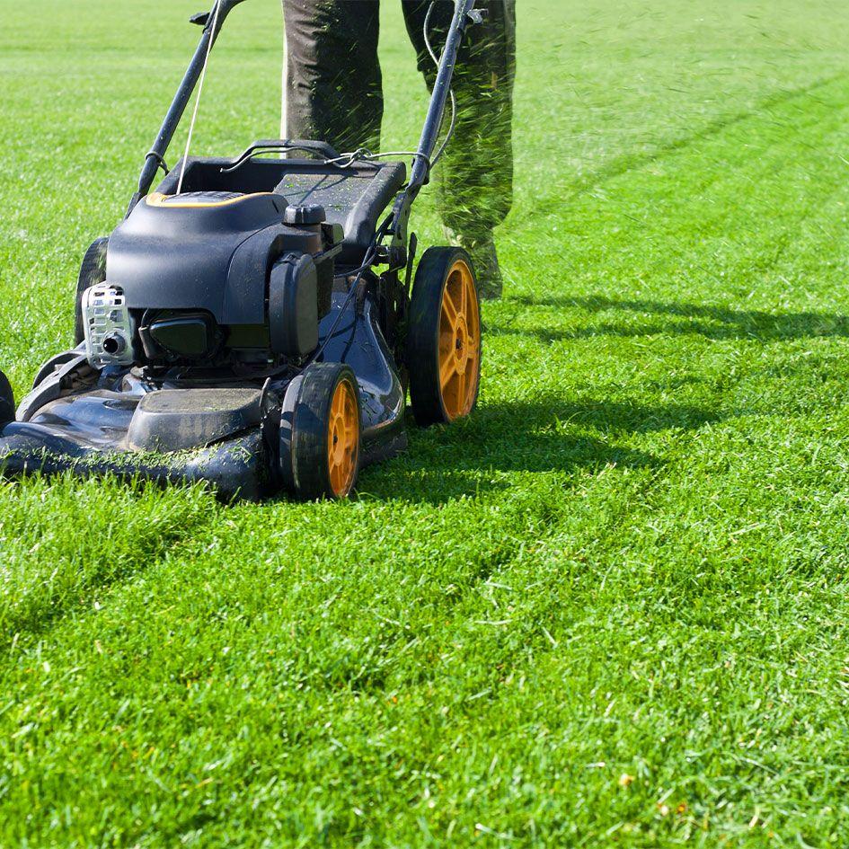 Lawn Mowing